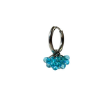 Dolce Earrings Stainless steel