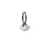 Dolce Earrings Stainless steel