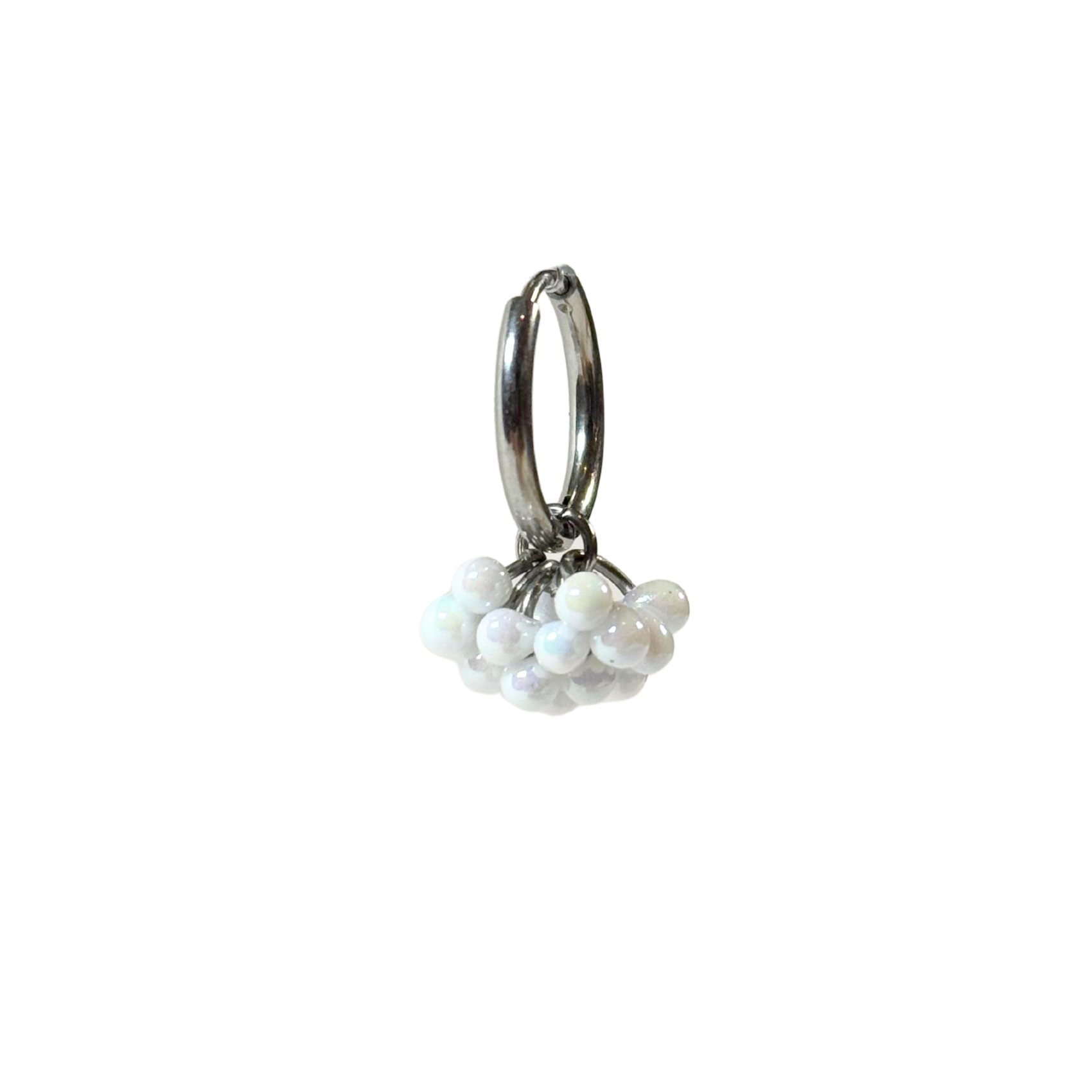 Dolce Earrings Stainless steel