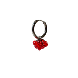 Dolce Earrings Stainless steel