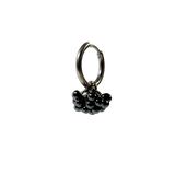 Dolce Earrings Stainless steel