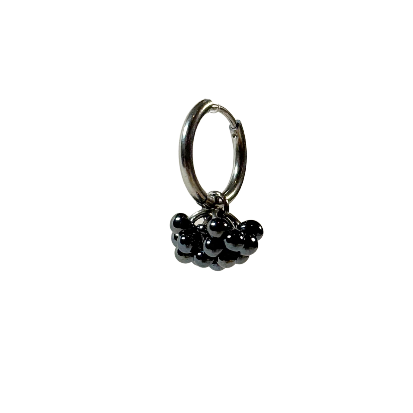 Dolce Earrings Stainless steel